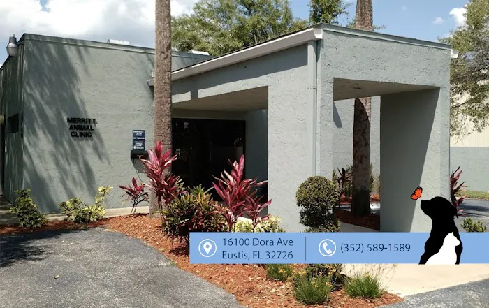 Merritt Animal Clinic 3
