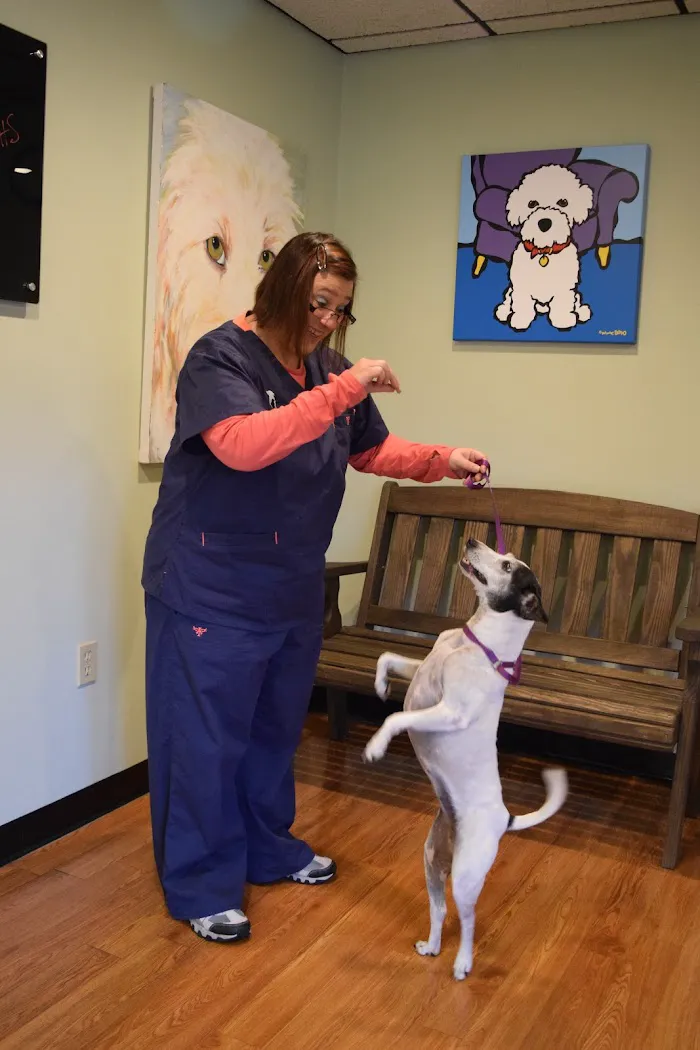 Merritt Animal Clinic 2
