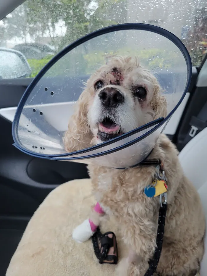 Merritt Animal Clinic 6