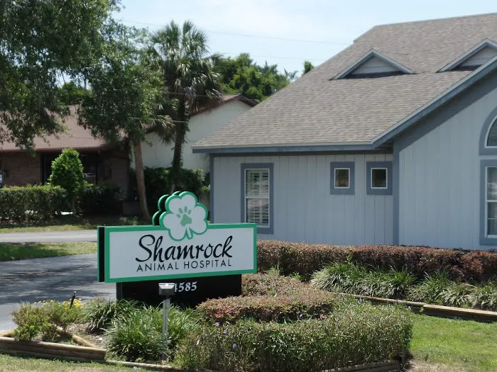 Shamrock Animal Hospital 12