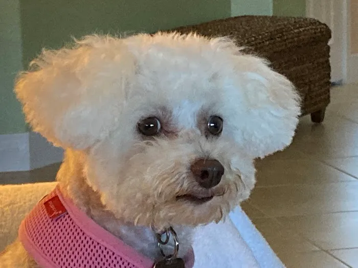 Park Heights Animal Care Center 12