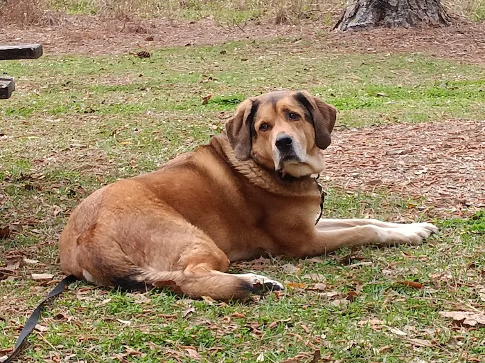 Park Heights Animal Care Center 12