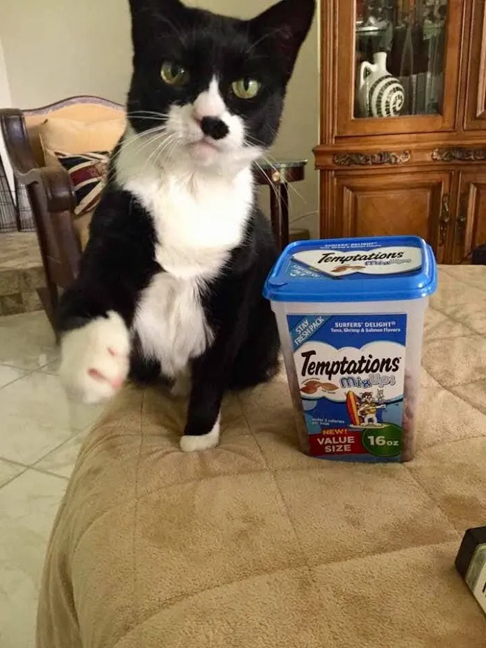 Lake Square Animal Hospital 3