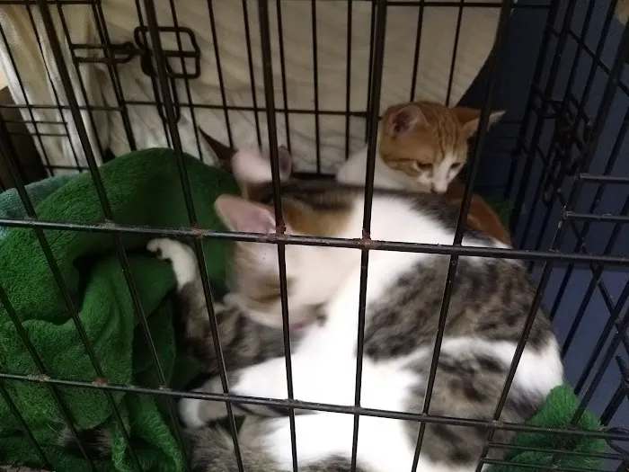 Lake Veterinary Clinic 12