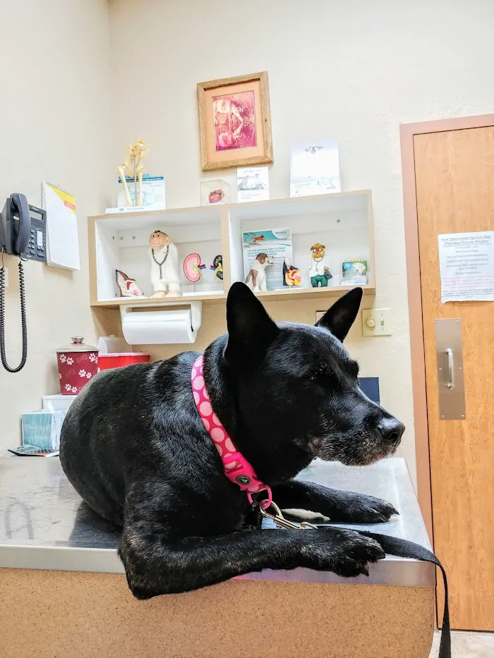 Lake Veterinary Clinic 12
