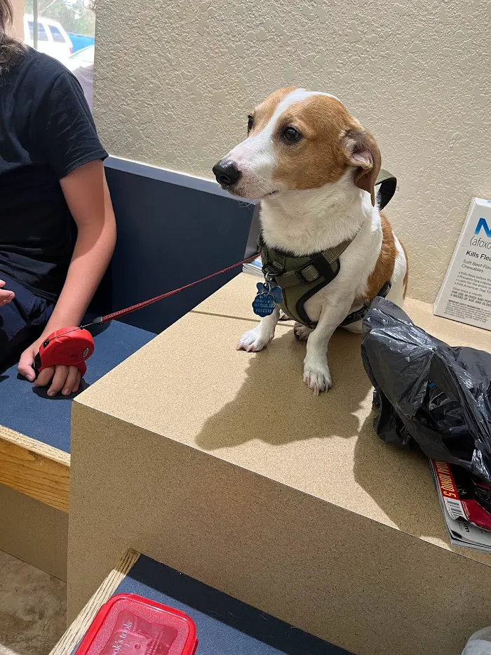 Lake Veterinary Clinic 12