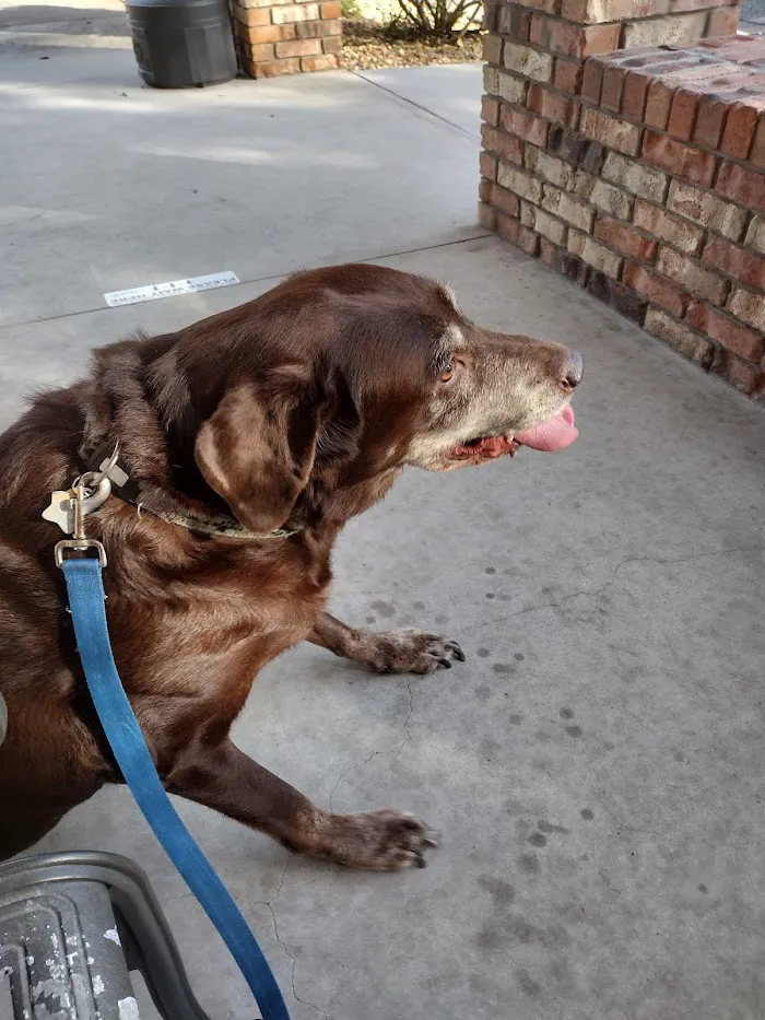 Lake Veterinary Clinic 12