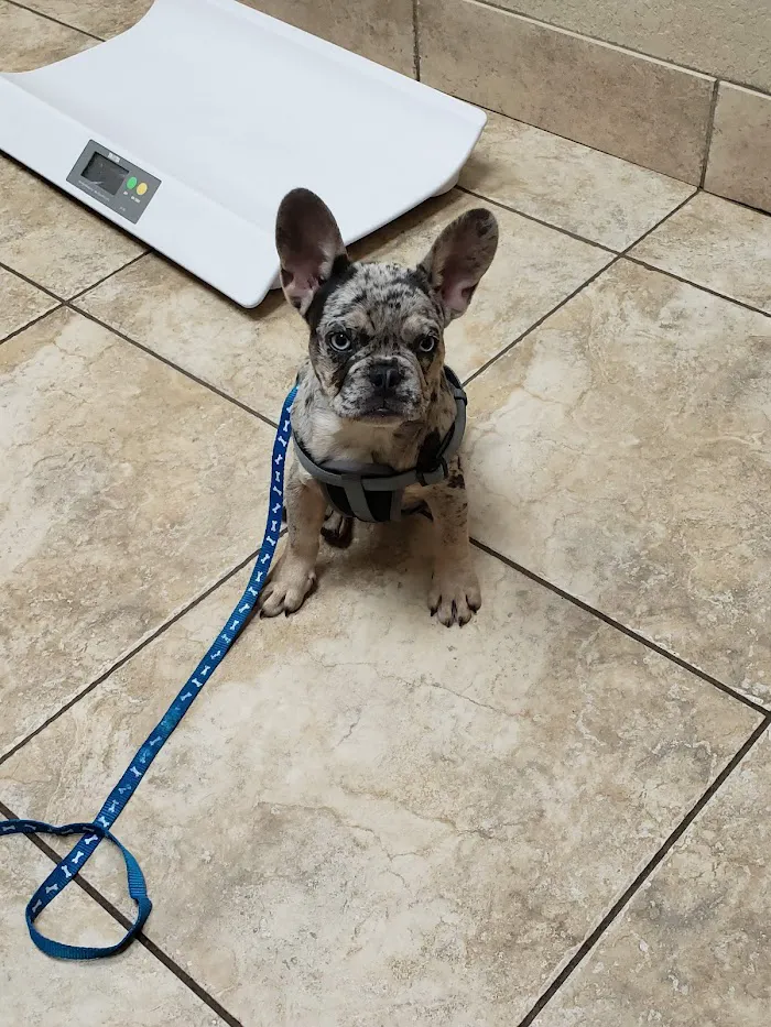 Lake Veterinary Clinic 12