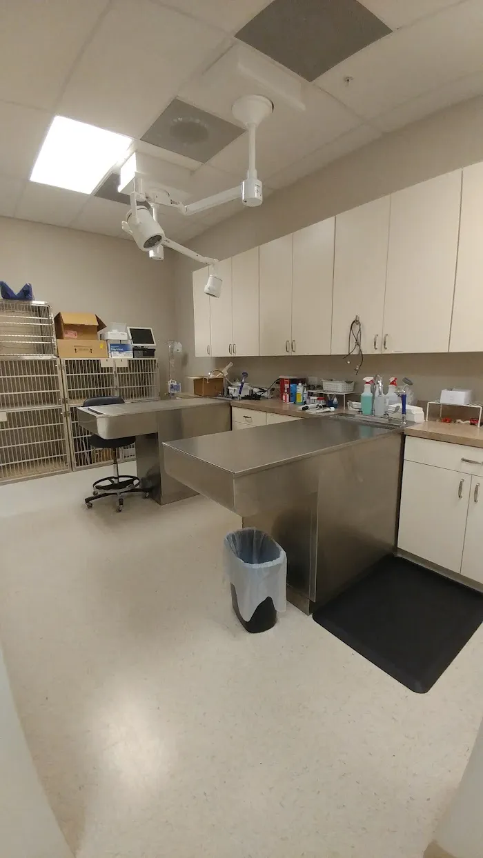 Seminole Springs Veterinary Clinic 12