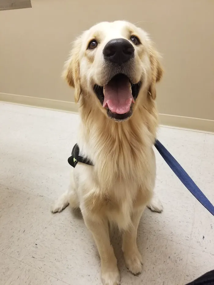 Seminole Springs Veterinary Clinic 12