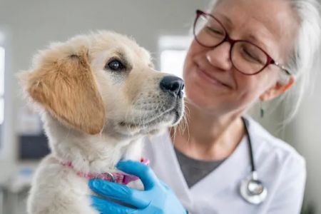 Banfield Pet Hospital