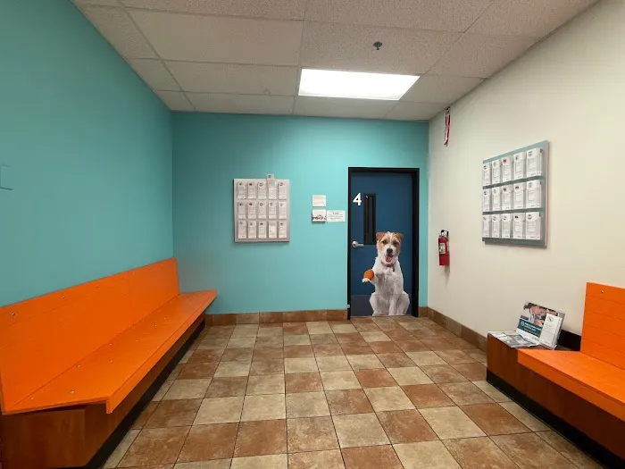 Banfield Pet Hospital 3