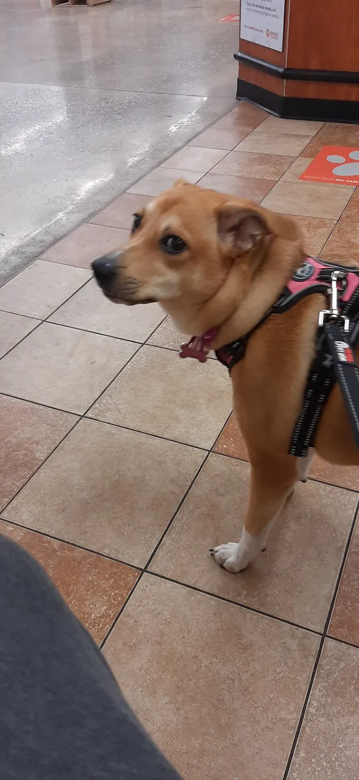 Banfield Pet Hospital 8