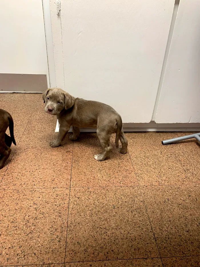 Kindred Spirits Animal Clinic 9