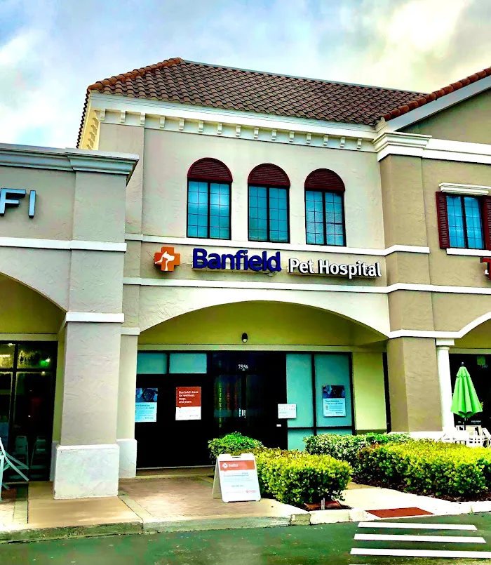Banfield Pet Hospital 3