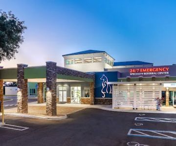 Veterinary Healthcare Associates