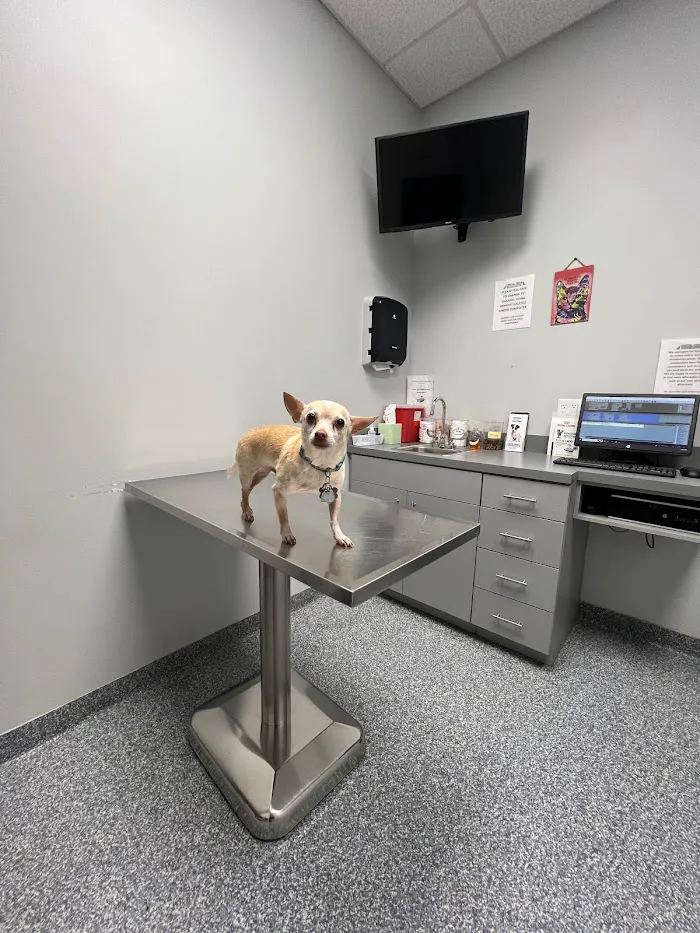 Crystal Creek Animal Hospital 12