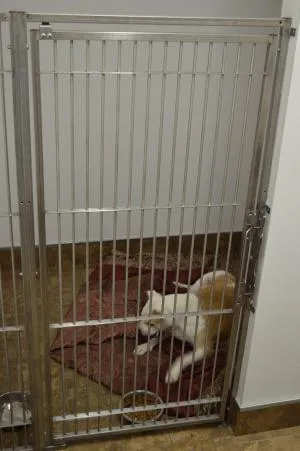 Crystal Creek Animal Hospital 12