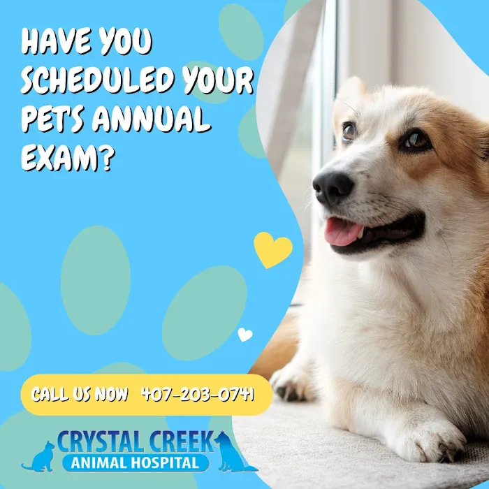 Crystal Creek Animal Hospital 12