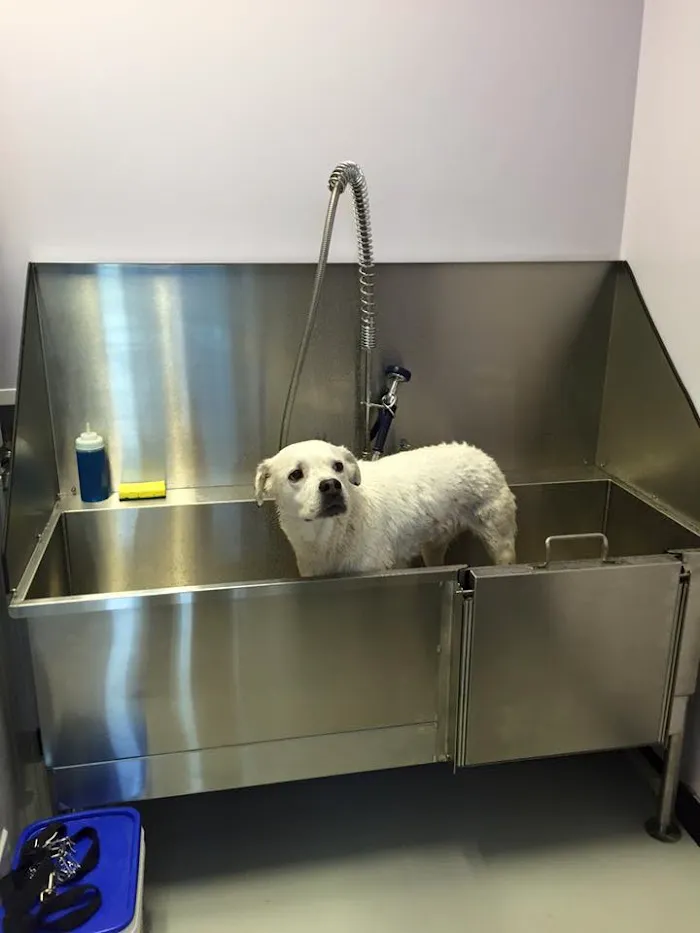 Vineland Animal Hospital 12