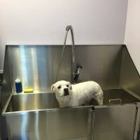 Vineland Animal Hospital ico