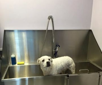 Vineland Animal Hospital
