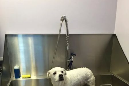 Vineland Animal Hospital