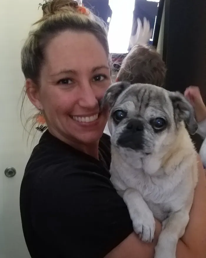 Vineland Animal Hospital 12