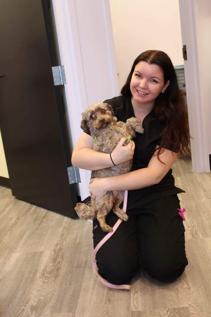 Vineland Animal Hospital 12