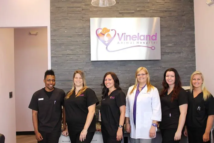 Vineland Animal Hospital 12