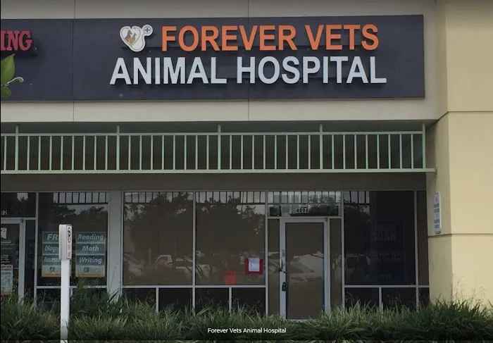 Forever Vets Animal Hospital 12
