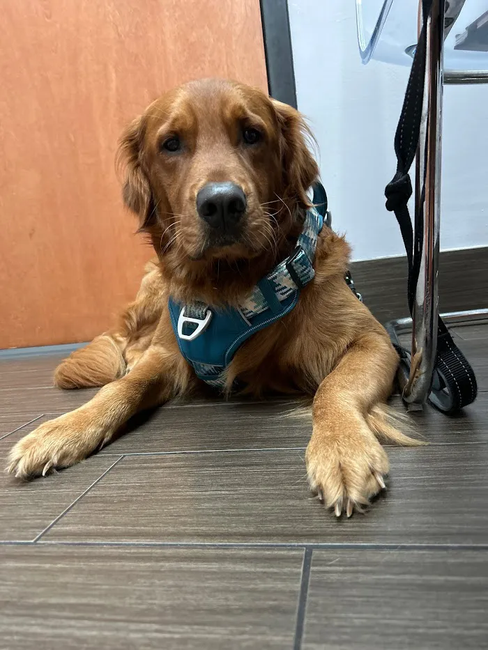 Forever Vets Animal Hospital 12