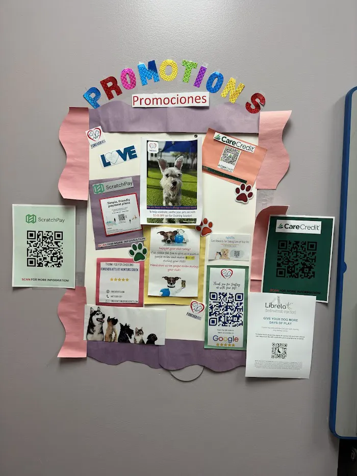 Forever Vets Animal Hospital 12