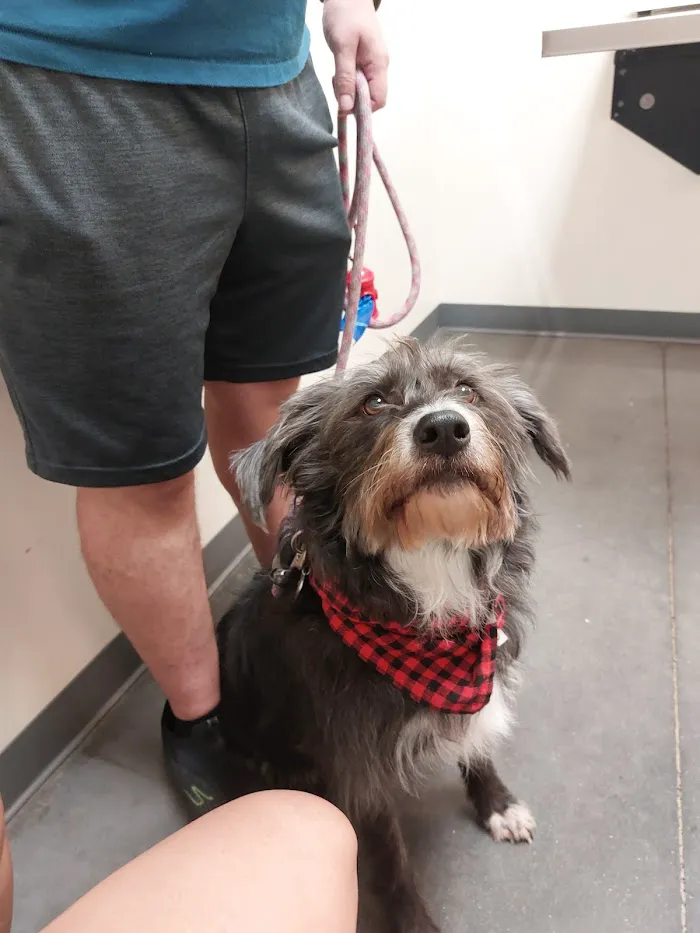 Vetco Total Care Animal Hospital 6