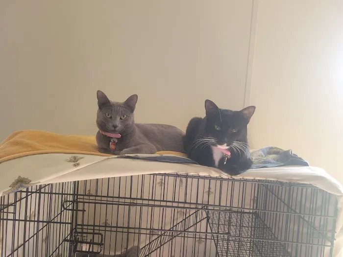 Vetco Total Care Animal Hospital 9