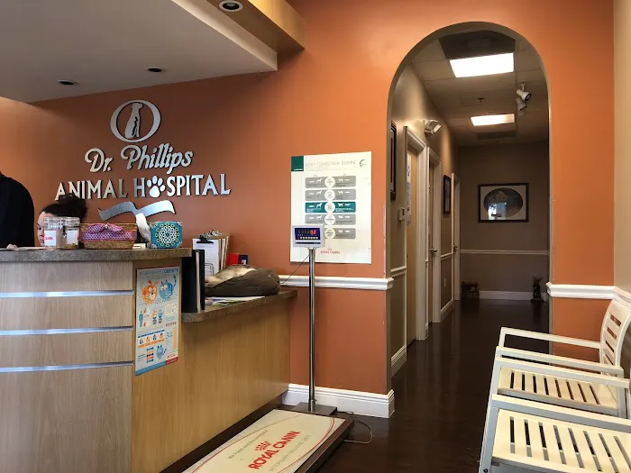 Dr. Phillips Animal Hospital 12