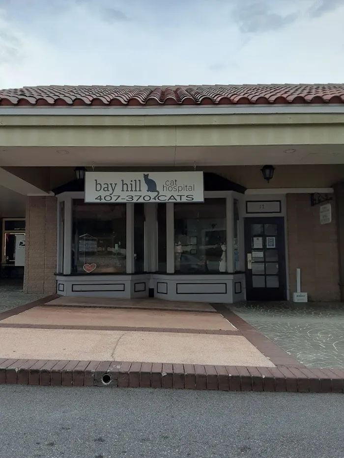 VCA Bay Hill Cat Hospital 7