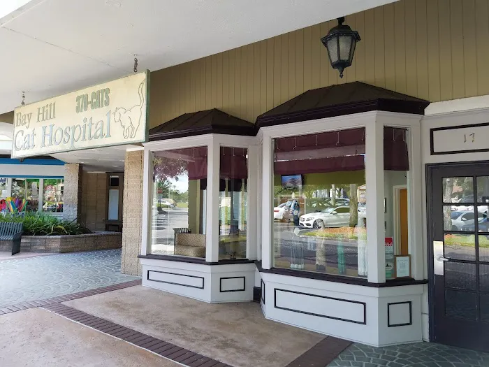 VCA Bay Hill Cat Hospital 1