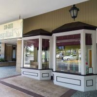 VCA Bay Hill Cat Hospital ico