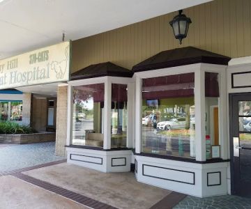 VCA Bay Hill Cat Hospital