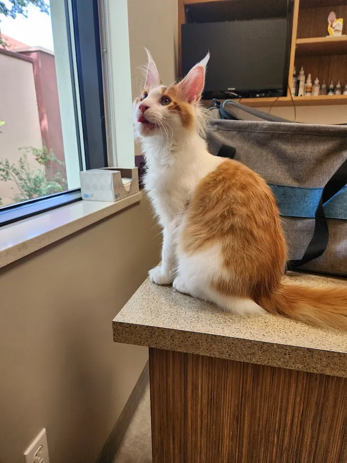 Sand Lake Animal Clinic 12