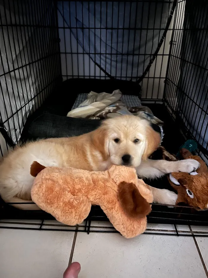 Sand Lake Animal Clinic 12