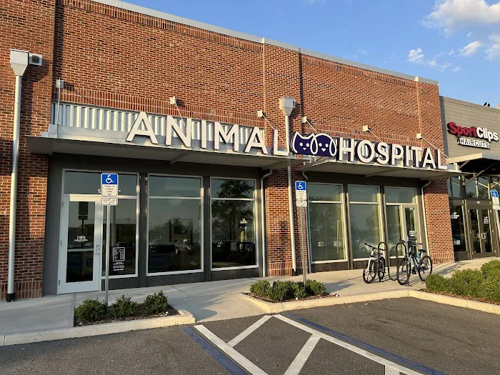 Hamlin Animal Hospital 6