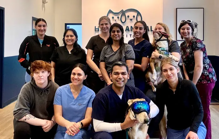 Hamlin Animal Hospital 4