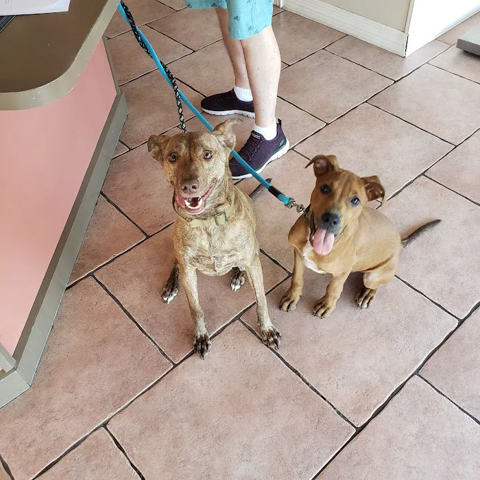 Polo Park Animal Hospital 12