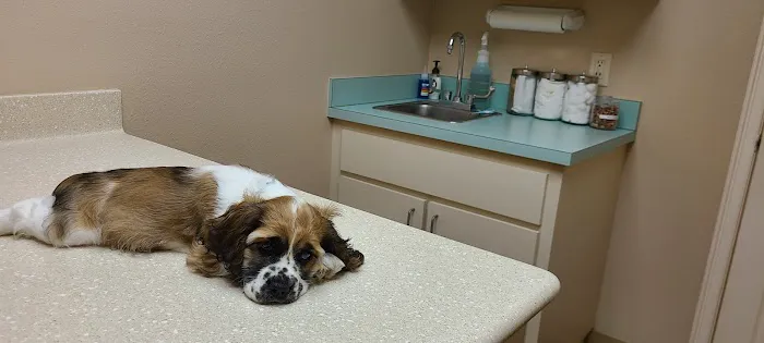 Polo Park Animal Hospital 12