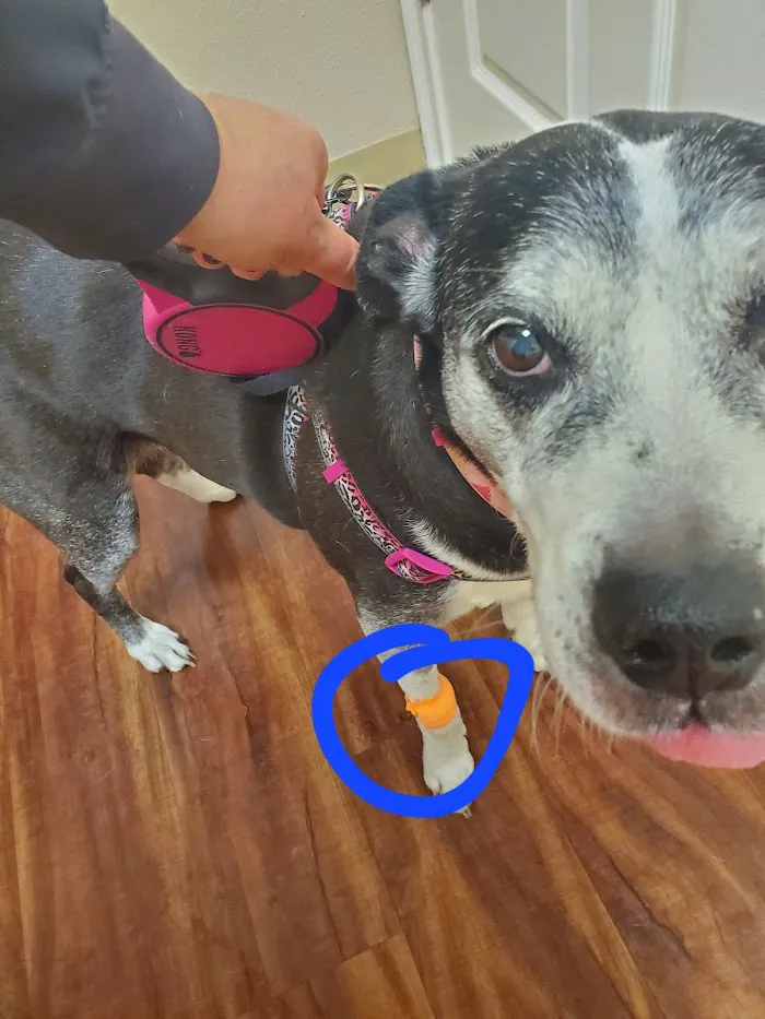 Polo Park Animal Hospital 12