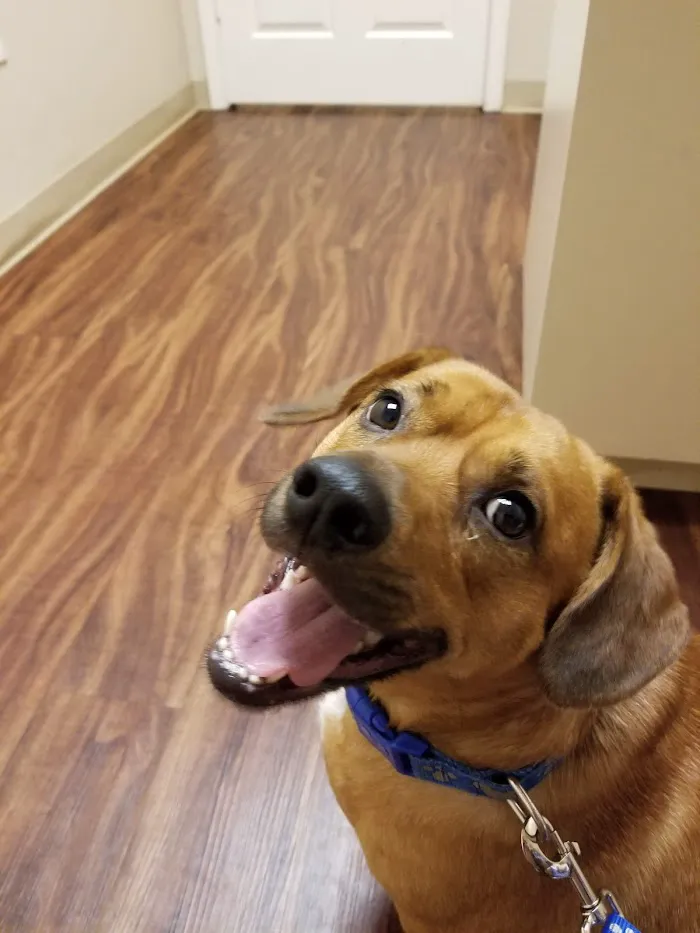 Polo Park Animal Hospital 12