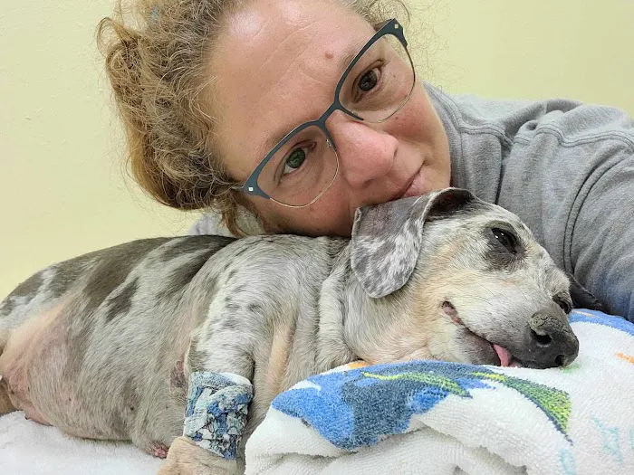 Paws & Claws Veterinary Clinic LLC 12