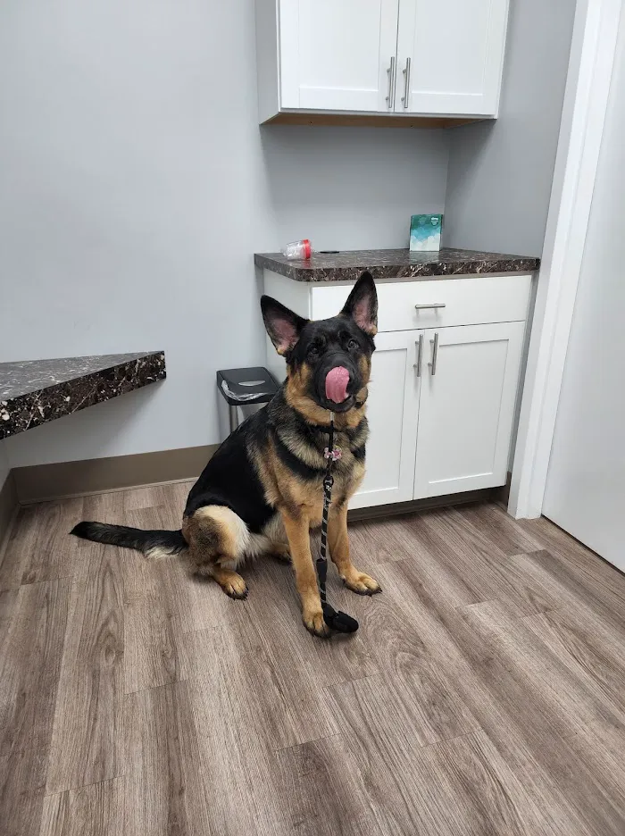 Tavares Crossroads Veterinary Clinic 9